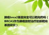 肺癌brca2基因突变可以靶向药吗（BRCA1作为肺癌放射治疗的新靶向基因研究）