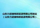 山东力诺瑞特新能源有限公司地址（山东力诺瑞特新能源有限公司）