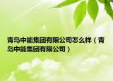 青岛中能集团有限公司怎么样（青岛中能集团有限公司）