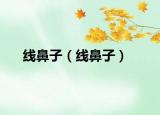 线鼻子（线鼻子）