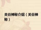 关谷神秘介绍（关谷神秘）