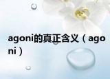 agoni的真正含义（agoni）