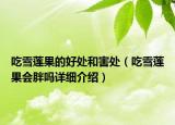 吃雪莲果的好处和害处（吃雪莲果会胖吗详细介绍）