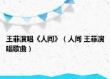 王菲演唱《人间》（人间 王菲演唱歌曲）