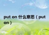 put on 什么意思（put on）