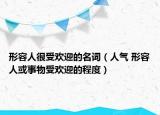 形容人很受欢迎的名词（人气 形容人或事物受欢迎的程度）