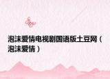 泡沫爱情电视剧国语版土豆网（泡沫爱情）