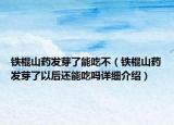铁棍山药发芽了能吃不（铁棍山药发芽了以后还能吃吗详细介绍）
