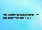 什么是房地产市场调研与预测（什么是房地产市场调研介绍）