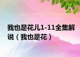 我也是花儿1-11全集解说（我也是花）