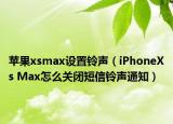 苹果xsmax设置铃声（iPhoneXs Max怎么关闭短信铃声通知）