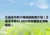 王海涛今年41电视剧剧情介绍（王海涛今年41 2011年张国强主演电视剧）