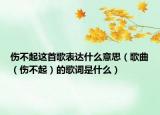 伤不起这首歌表达什么意思（歌曲（伤不起）的歌词是什么）