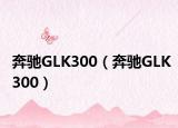 奔驰GLK300（奔驰GLK300）