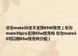 华为mate30支不支持65W快充（华为mate30pro支持65w快充吗 华为mate30可以用65w快充吗介绍）