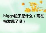 higgs粒子是什么（现在被发现了没）