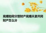 离婚如何分割财产离婚夫妻共同财产怎么分