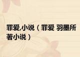 罪爱,小说（罪爱 羽墨所著小说）