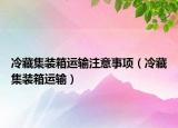 冷藏集装箱运输注意事项（冷藏集装箱运输）