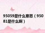 95059是什么意思（95081是什么啊）