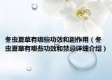 冬虫夏草有哪些功效和副作用（冬虫夏草有哪些功效和禁忌详细介绍）