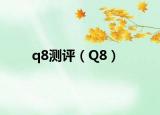 q8测评（Q8）