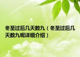 冬至过后几天数九（冬至过后几天数九呢详细介绍）