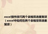 excel操作技巧两个表格筛选重复项（excel中如何在两个表格里筛选重复项）