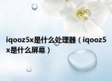 iqooz5x是什么处理器（iqooz5x是什么屏幕）