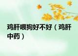 鸡肝喂狗好不好（鸡肝 中药）