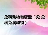 兔科动物有哪些（兔 兔科兔属动物）
