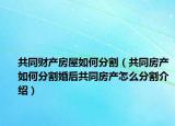 共同财产房屋如何分割（共同房产如何分割婚后共同房产怎么分割介绍）