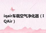 iqair车载空气净化器（IQAir）