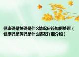 健康码是黄码是什么情况应该如何处置（健康码是黄码是什么情况详细介绍）