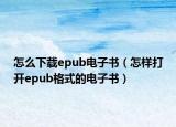 怎么下载epub电子书（怎样打开epub格式的电子书）