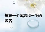填充一个杂志和一个函数名