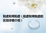 阳虚和肾阳虚（阳虚和肾阳虚的区别详细介绍）
