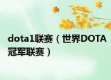 dota1联赛（世界DOTA冠军联赛）
