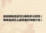 自制杨梅泡酒可以保存多长时间（杨梅泡酒怎么保存最好详细介绍）