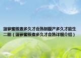 菠萝蜜核煮多久才会熟刨腹产多久才能生二胎（菠萝蜜核煮多久才会熟详细介绍）