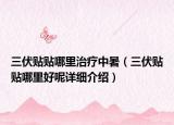 三伏贴贴哪里治疗中暑（三伏贴贴哪里好呢详细介绍）