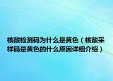 核酸检测码为什么是黄色（核酸采样码是黄色的什么原因详细介绍）