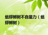 蚍蜉撼树不自量力（蚍蜉撼树）