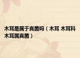 木耳是属于真菌吗（木耳 木耳科木耳属真菌）