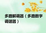 多路解调器（多路数字调谐器）