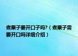 煮栗子要开口子吗?（煮栗子需要开口吗详细介绍）