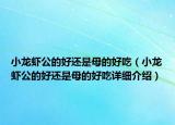 小龙虾公的好还是母的好吃（小龙虾公的好还是母的好吃详细介绍）