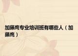 加藤鹰专业培训班有哪些人（加藤鹰）