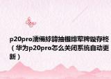 p20pro濡備綍鍏抽棴绯荤粺鏇存柊（华为p20pro怎么关闭系统自动更新）