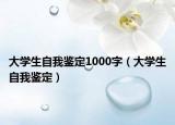 大学生自我鉴定1000字（大学生自我鉴定）